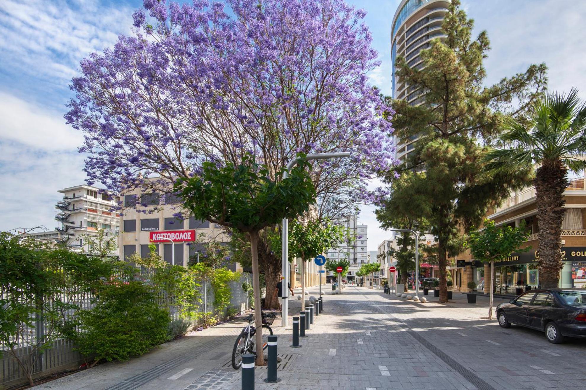 Urban Condo 12 - 2 Bdr Λευκωσία Εξωτερικό φωτογραφία